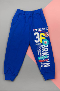 Спортивні штани для хлопчиків 900-9818-1