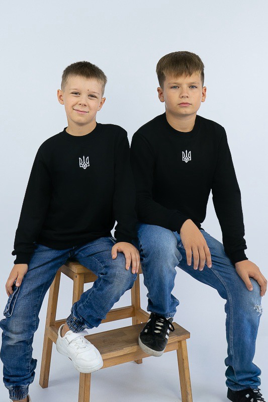 Джемпер для хлопчиків 300-973В