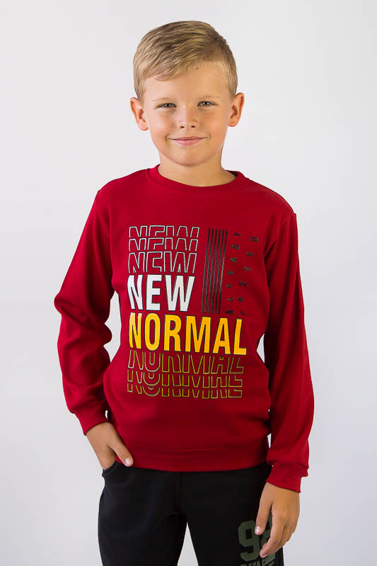 Джемпер для хлопчика 503-022