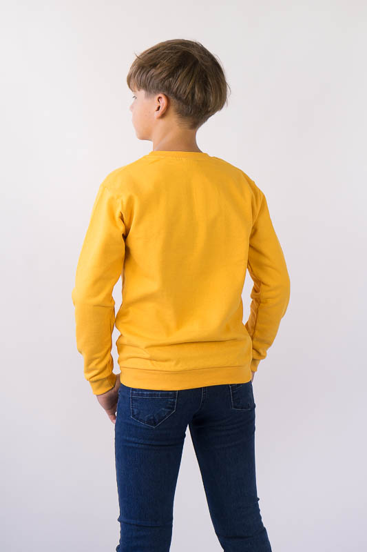 Світшот для хлопчиків 503-359