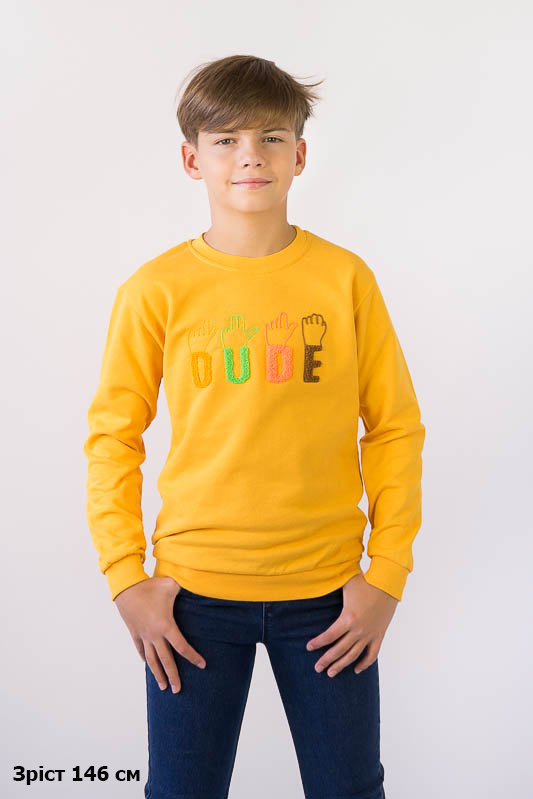 Світшот для хлопчиків 503-359