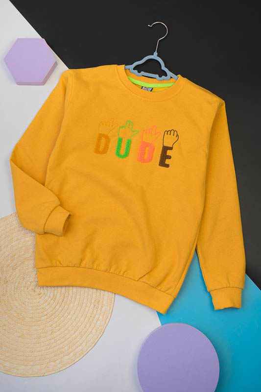 Світшот для хлопчиків 503-359