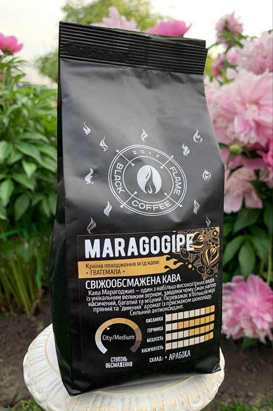 Maragogipe 600-014